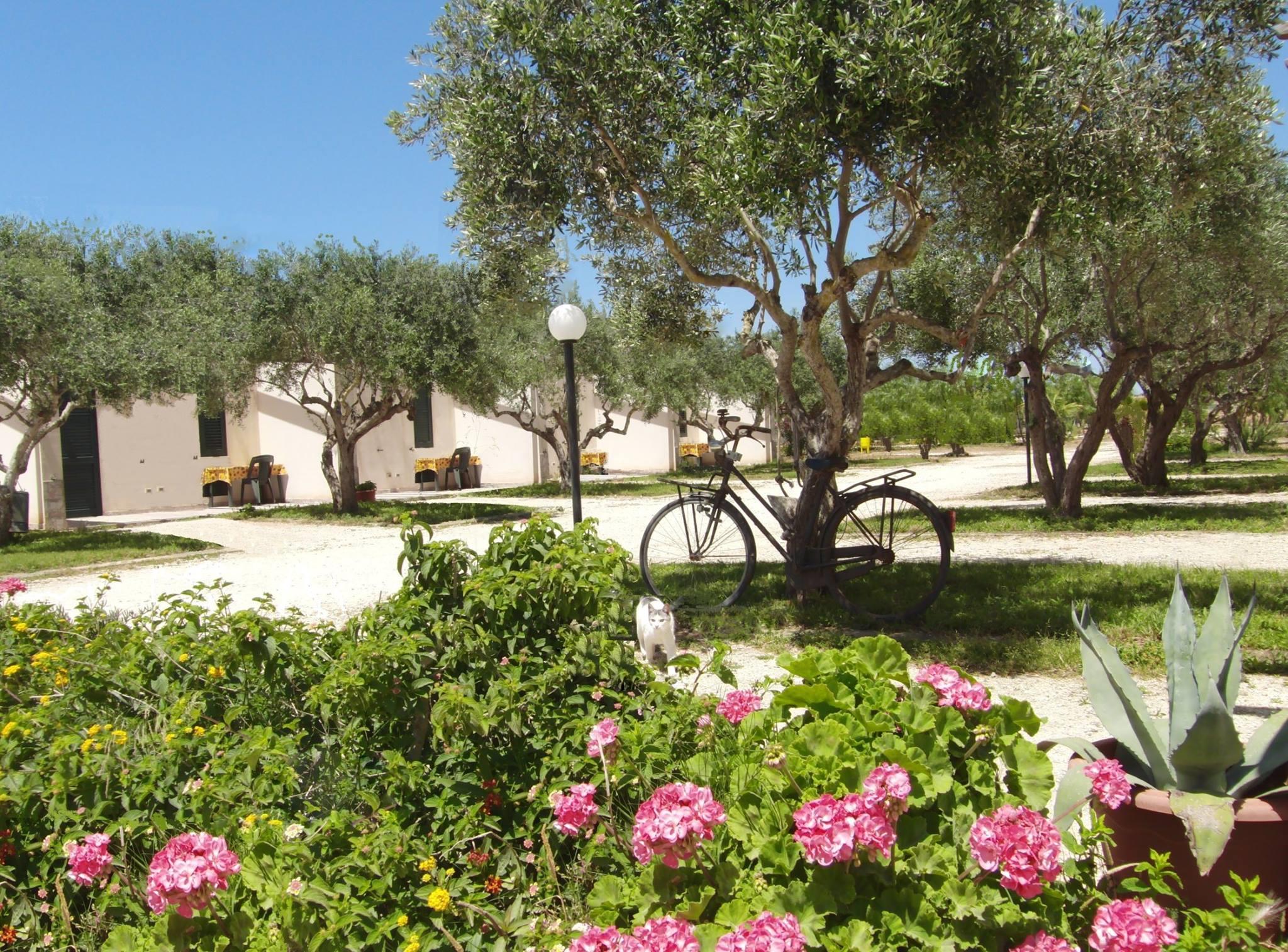 Lilybeo Village Camping & Residence