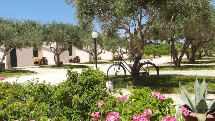 Lilybeo Village Camping & Residence