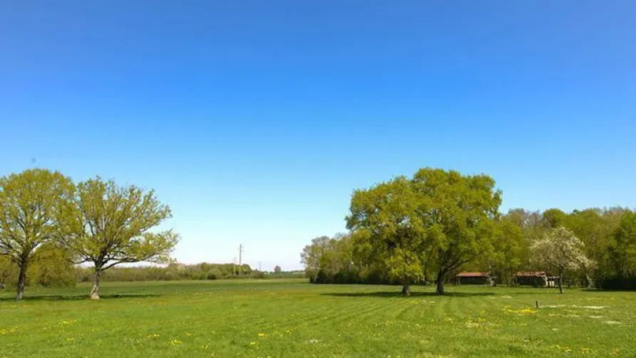 Domaine de l'Oiselière