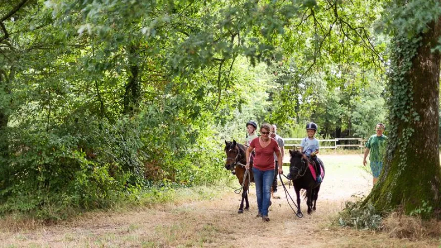 Domaine de l'Oiselière