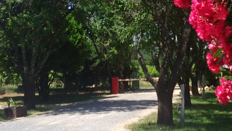 Camping l'Olivier