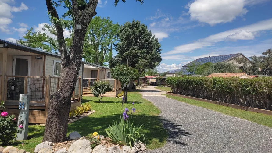 Camping l'Olivier