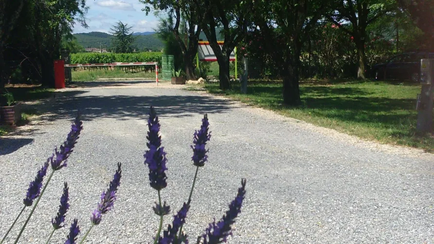 Camping l'Olivier