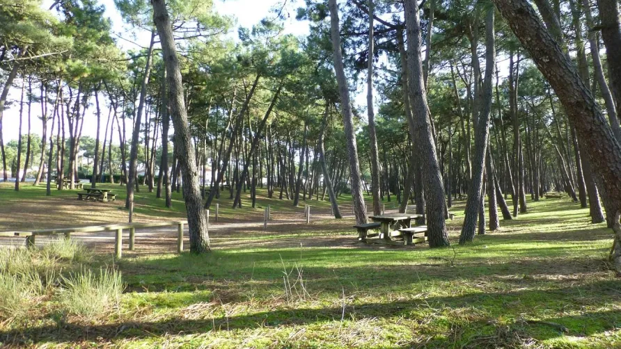 Camping La Pinède