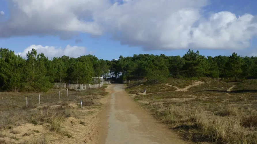 Camping La Pinède