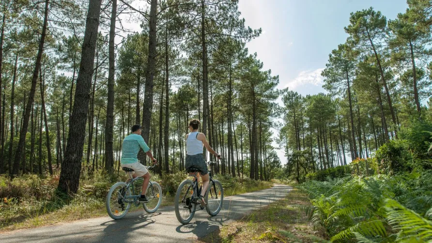 Camping Sandaya Ondres Océan
