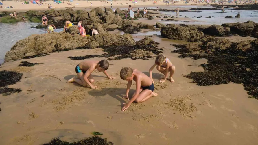 Camping Les Logeries