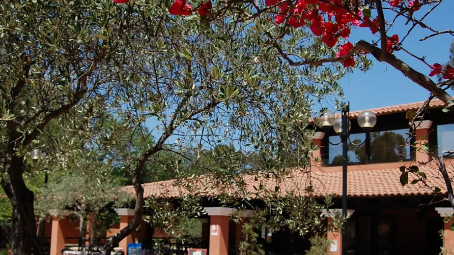 Tiliguerta Glamping & Camping Village