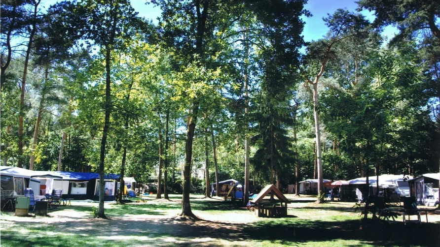 Camping de Paal