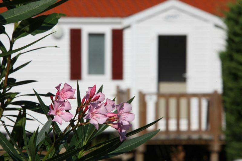 Camping Atlantica