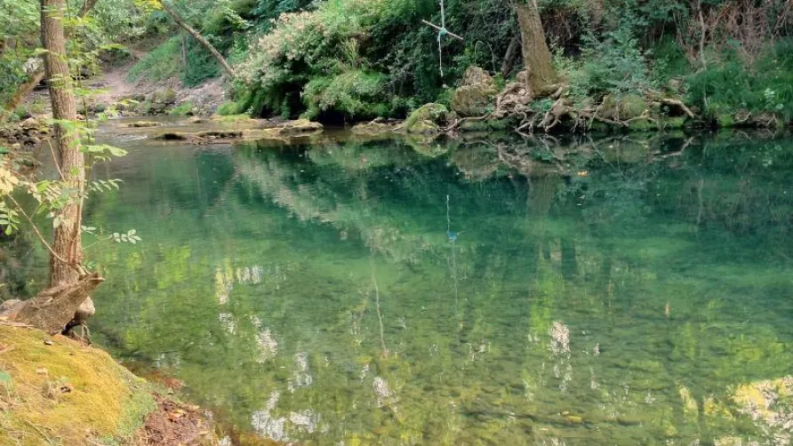 Camping des Sources