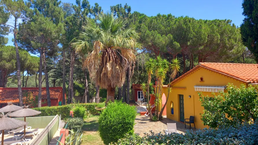 Domaine des Mimosas