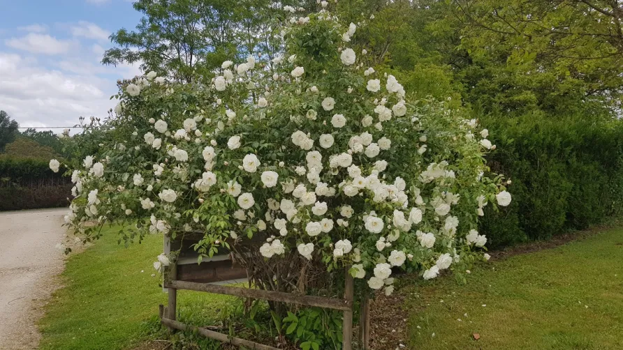 LE DOMAINE DE PECANY (La Noix de Pecan'y)