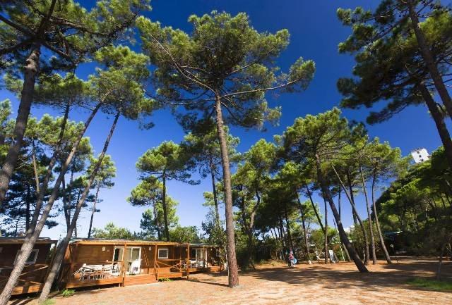 PuntAla Camp & Resort