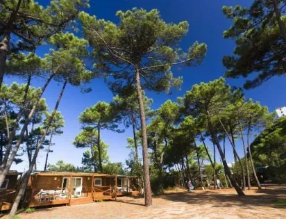 PuntAla Camp & Resort
