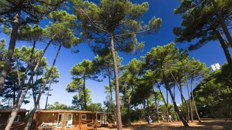 PuntAla Camp & Resort