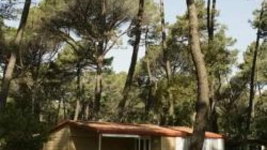 PuntAla Camp & Resort