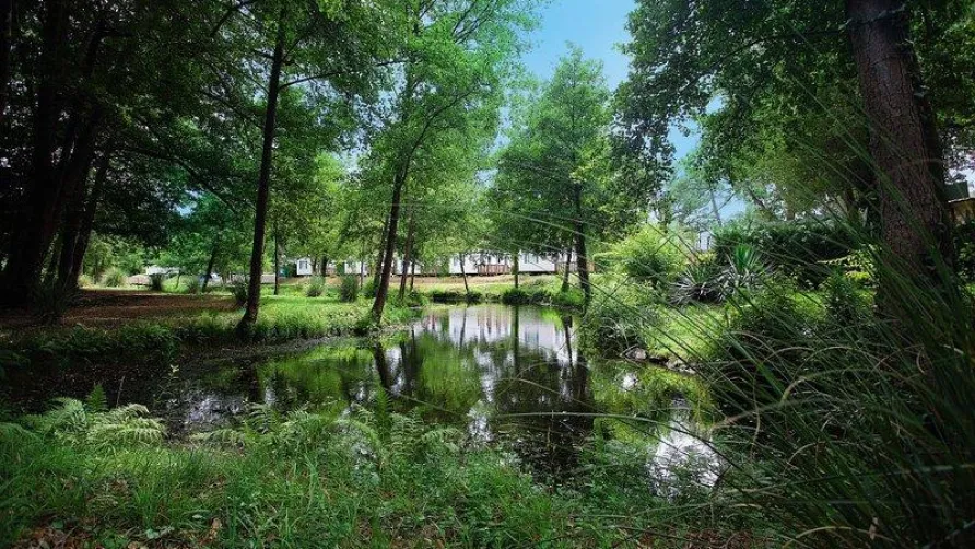 Camping Homair - Le Soleil des Landes