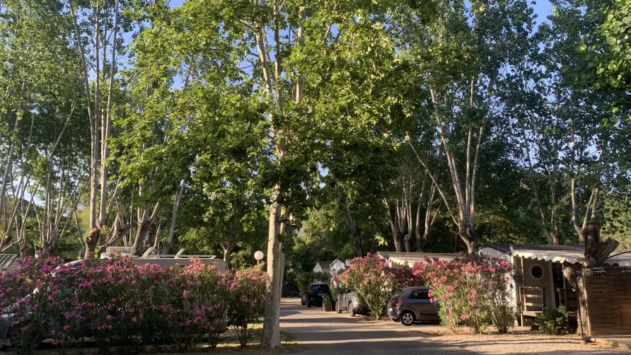 Camping les Fouguières