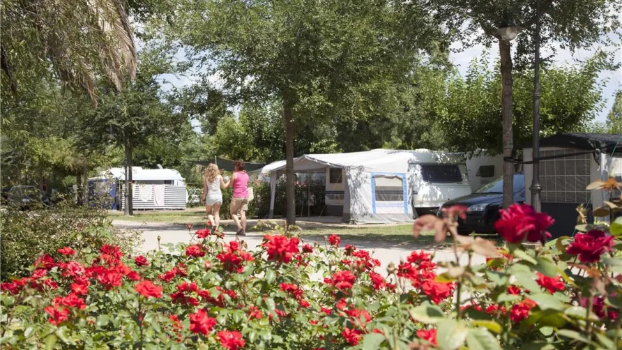 Camping Mas Nou