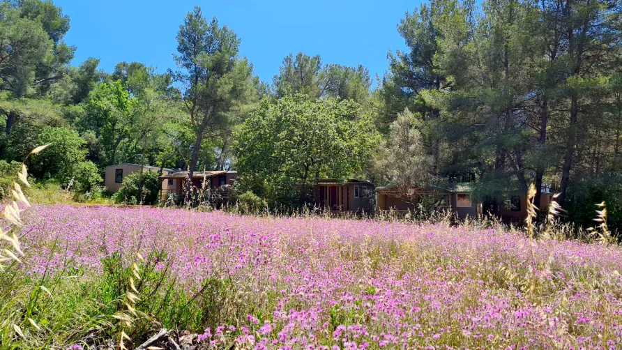 Camping Le BeauVezé ****