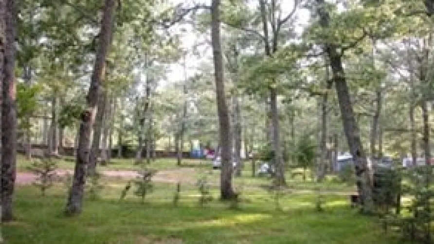 Camping Sierra de Francia