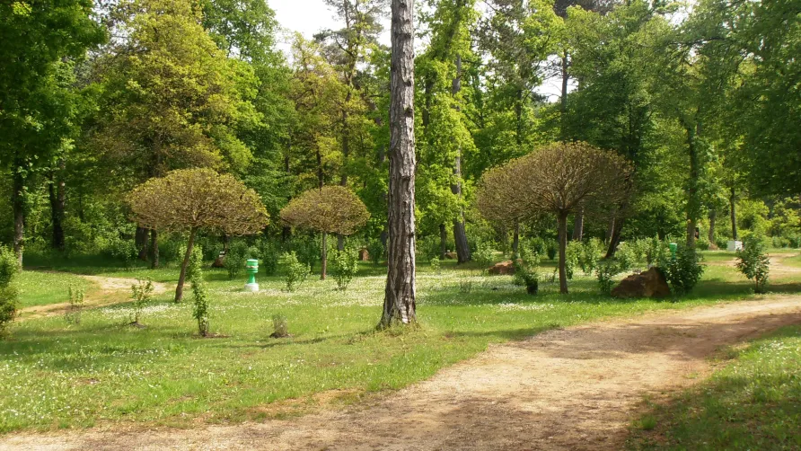 Camping de la Pelouse