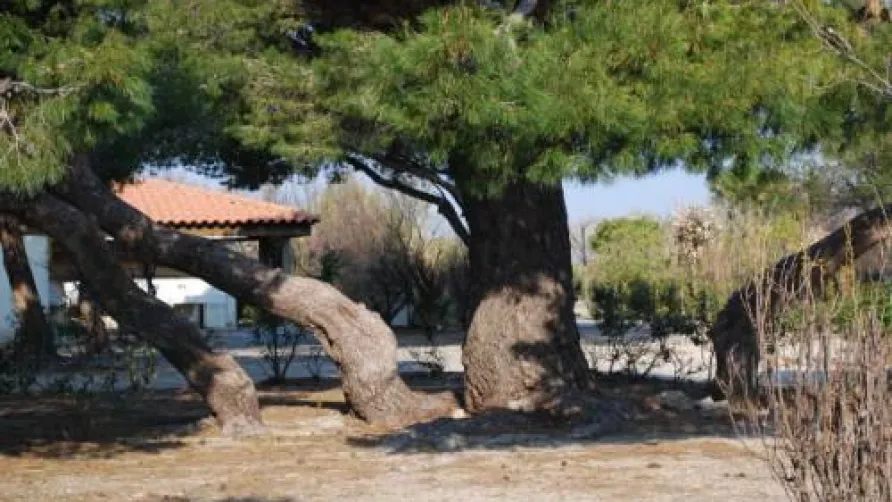Sandaya Domaine la Franqui