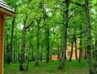 LE BOIS DE FARAL-ECOLOGITES