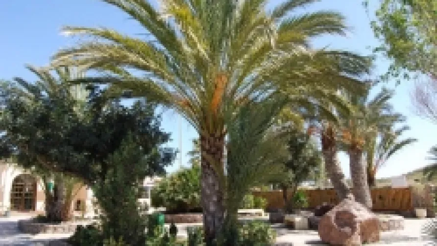 Camping Los Escullos