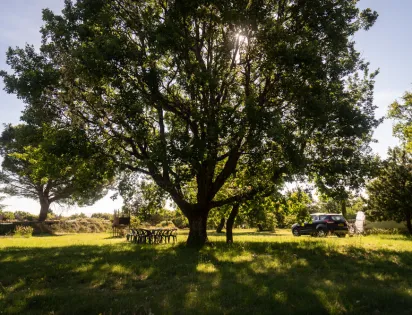 CAMPING DOMAINE DE BRIANGE