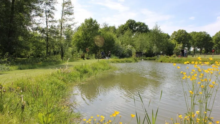 Camping Geelenhoof