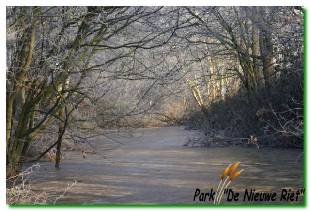 Park de Nieuwe Riet