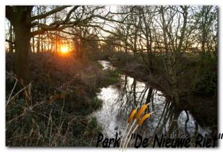 Park de Nieuwe Riet