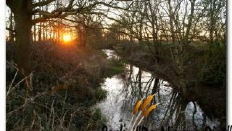 Park de Nieuwe Riet