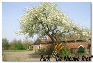 Park de Nieuwe Riet
