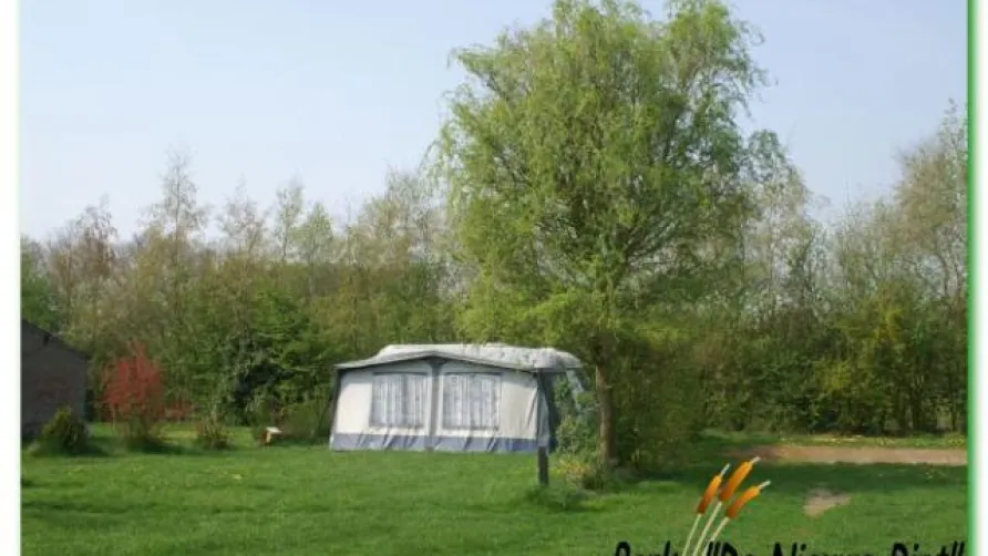Park de Nieuwe Riet