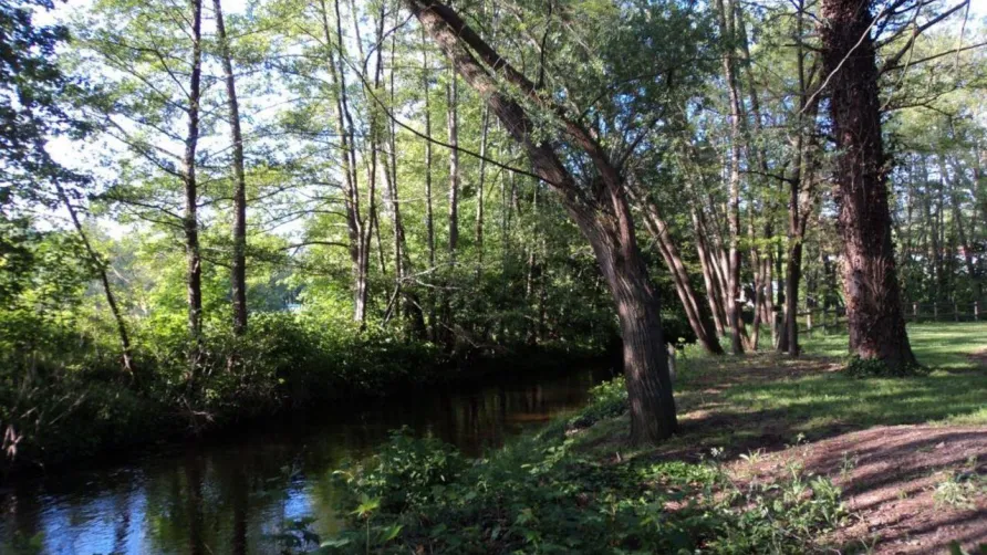 Camping de l'Orangerie du Domaine de Giraud