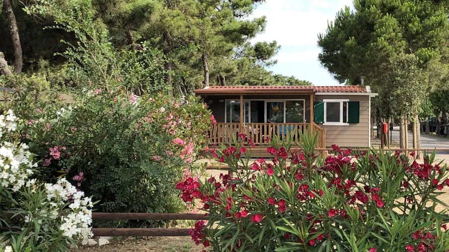 Camping Vittoria
