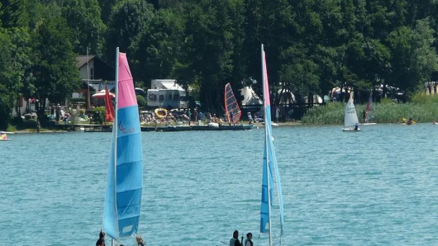 Flower Camping Ser Sirant