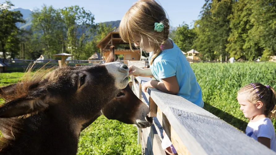 Slovenia Eco Resort