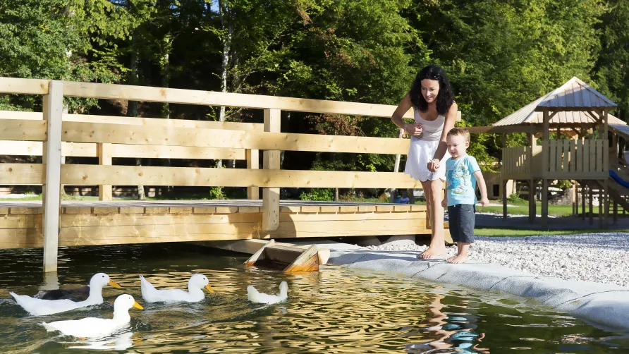 Slovenia Eco Resort