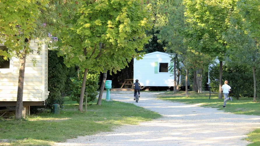 Flower Camping le Dolium