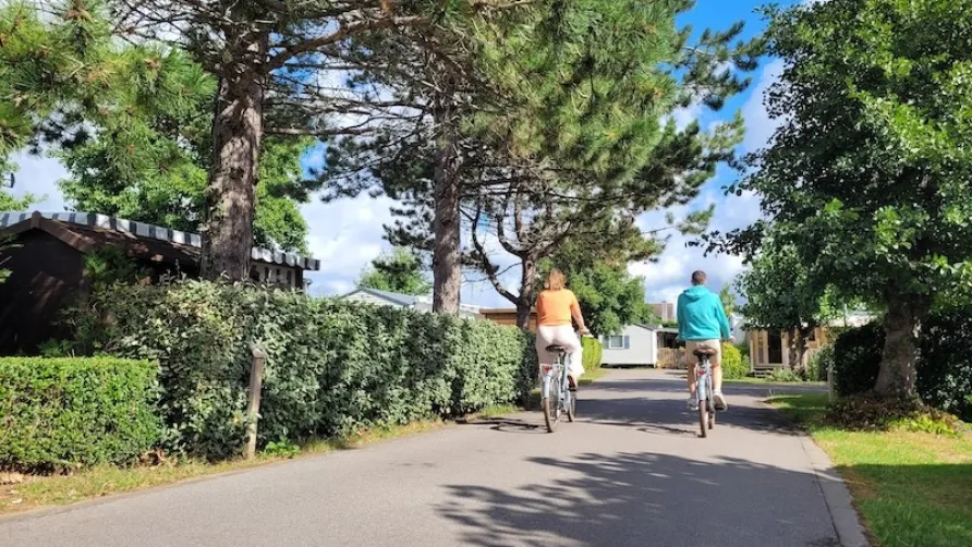 La Forêt Stella-Plage