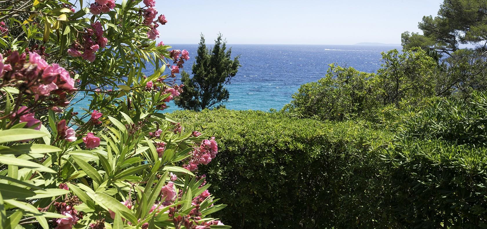 Campéole Les Mimosas