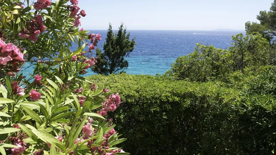 Campéole Les Mimosas