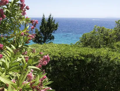 Campéole Les Mimosas