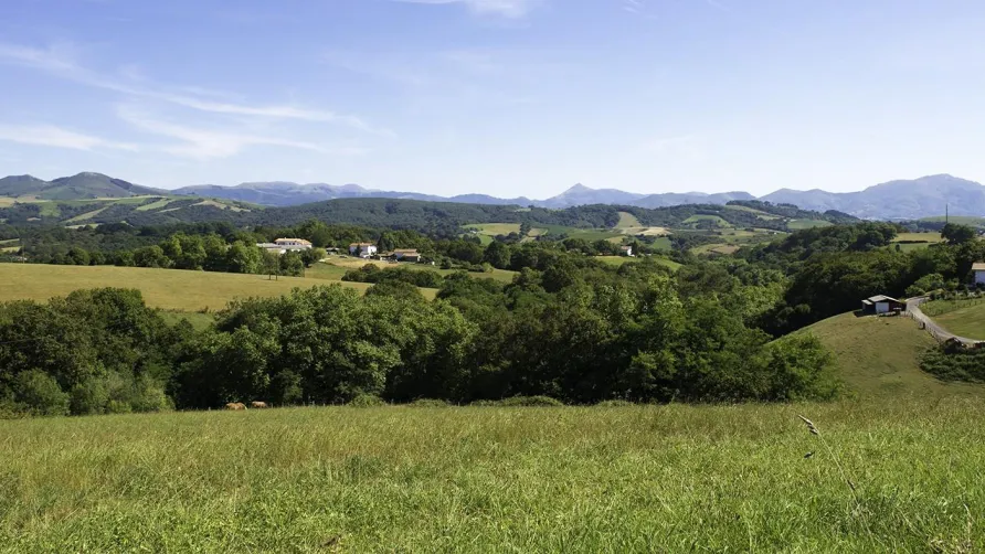 Campéole Arotxa