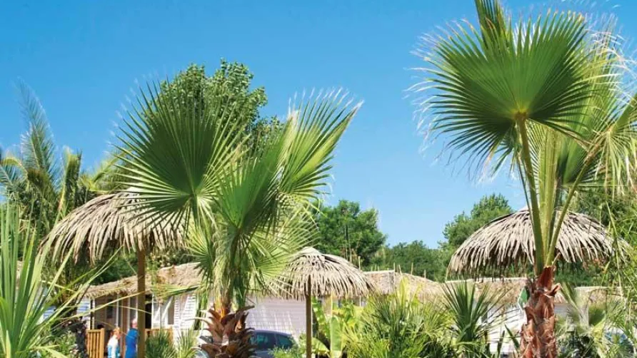 Camping Sandaya Riviera d'Azur