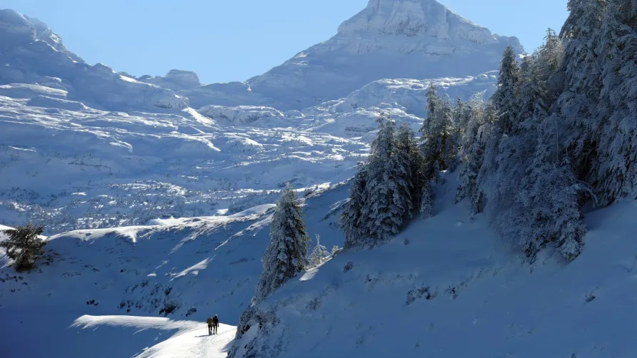 Camping Barétous-Pyrénées